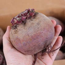 김태경님 해남 무농약 레드비트, 1개, 레드비트 2kg