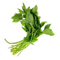 야채왕 참나물 1kg 4kg