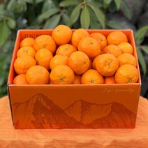 카라향 제주 감귤 귤로향 1kg 2kg 4.5kg, 2.5kg, 소과(30-40과), 1개