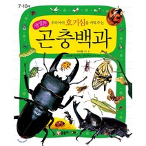 우리아이 호기심을 키워주는 생생한 곤충백과, 글송이