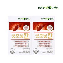 굿모닝칸 X 2박스 HK표고버섯 균사체 홍경천 추출성분 베타글루칸 간건강 스트레스로 인한 피로개선에 도움, 60정 X 2박스 (4개월)