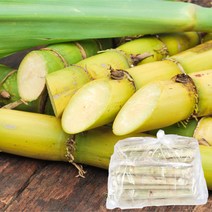 신정푸드 시원한 간식 냉동 사탕수수 8kg, 1개