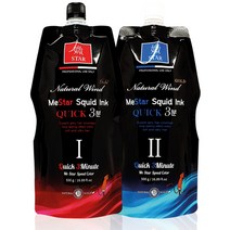 자연바람 미스타 오징어먹물 퀵3분 컬러크림 500g 스퀴드 염색 새치머리, 1N 흑색(검정)