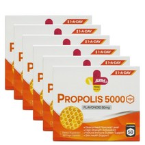 SPH 프로폴리스 5000mg 1-A-DAY 180캡슐 x6 플라보노이드, 6box, 180개