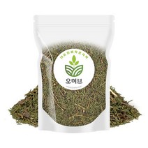 국내산 측백 측백엽 측백나무잎 250g, 1개, 단품