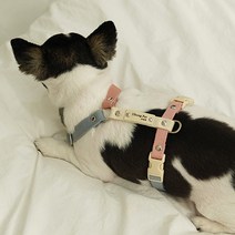이름 무료 각인 앞섬방지 H형 강아지 밴드 하네스 가슴줄 기본형, 7. 인디블루 + 아이보리 + 인디핑크