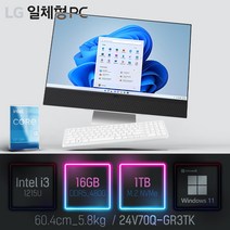 LG 일체형PC(12세대) 24V70Q-GR3TK [이벤트 한컴오피스 증정], 램16GB + SSD1TB
