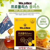 호주 프로폴리스 아연 플라보노이드 SOD 면역 항산화 비타민p 와일드비 플로폴리스 폴라폴리스 폴리폴리스 Propolis 캡슐 영양제 효능 추천, 2통, 60캡슐