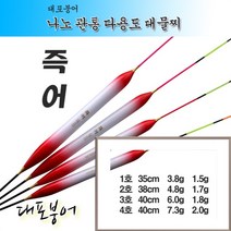 (대포붕어)대물 즉어찌 (나노관통대물찌), 2호 38센치 부력 4.8g, 1개