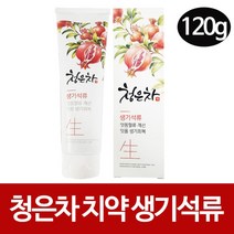 애경 청은차치약 120g 1p 치주염 구취 치태 제거 치주염 잇몸질환 예방