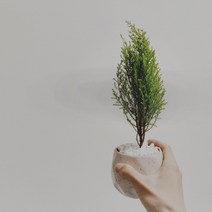 [캔들이케아] L 히노끼 국내산 프래그런스오일, 100ml