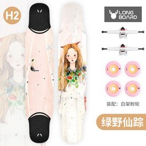 조립식 롱보드 취미 커스텀, 나