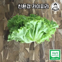 [농사임당] 유럽채소 친환경 무농약 카이피라 샐러드 야채 쌈채소 500g/1kg, 500g