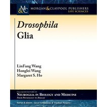 (영문도서) Drosophila Glia Paperback, Morgan & Claypool