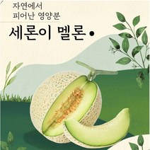 세지메론 세론이멜론 정품 나주메론 13brx 4수 노마진, 파랑박스(12브릭스)4수 한통