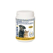 프로덴 스토맥스 위장영양제, 1개, 관절 ProDen Glucosamin 100g (겸용)