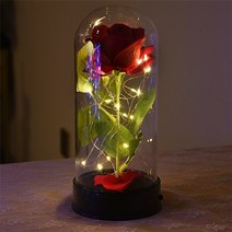 led 장미 부케 유리돔 꽃 무드등 조명 선물 감성조명 무드등 LED 여친 갤럭시 로즈, 협력사, A