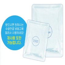 (대한) 아이스팩 완제품 중형 (15 X 20) 54EA (1박스), 대한 아이스팩 완제품 중