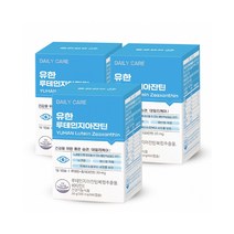 유한양행 루테인 지아잔틴 아이 루테인 눈영양제 뉴테인 3통