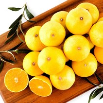 [산지직송] 제주 프리미엄 황금향 하우스 감귤 한라봉 로얄과, 선물포장 5kg(대과)