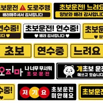 DAYA / 자국안남는 자석 초보운전스티커 모음 도로주행 스티커 주행연습, 05연수중검정칸배려노검, 1개