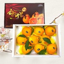 한라봉 레드향 3kg, 1박스, 선물용 한라봉[대과]10~13과수