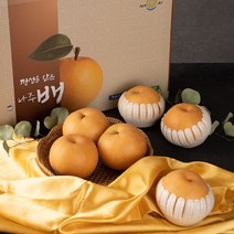 나주 신고 황금 햇 농협 배 선물세트 5kg 7.5kg 15kg, 특품 나주 햇 배 15kg (16~20과)