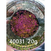 화장품 다채로운 오로라 크롬 카멜레온 플레이크 아이섀도 멀티 공작 갤럭시 먼지 네일 아트 미러 안료 공급 업체, SP40031 20g