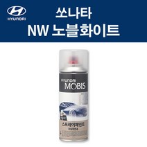 현대 순정품 쏘나타 NW 노블화이트 스프레이 41 자동차 차량용 도색 카페인트, NW 노블화이트 스프레이(모비스)