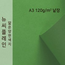 뉴씨플레인 종이문화 얇은 양면색지 120g A3 낱장 1매 No.60 초록, 1장