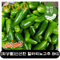 [최상품] 국내 첫수확 싱싱한 할라피뇨 고추 8KG 퍼펙트 고추 아삭아삭한 할라피뇨 장아찌 피클용 절임 밑반찬 건강식 싱싱한 파릇파릇 오이고추 매운고추 아삭이 고추