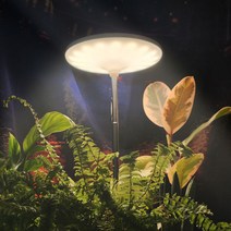식물전파사 빛뿌리개 시즌2 식물등 LED 식물조명 성장 생장, 화이트 (어댑터와 받침대 기본포함)