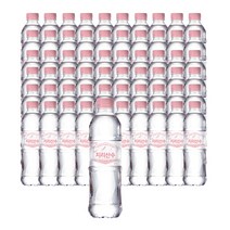 지리산수 핑크 500ml x 60개 (유/무라벨 랜덤발송)