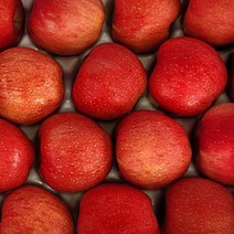 실속있는 가정용 햇사과 난좌포장 2kg/4kg, 가정용 사과 4kg / 꼬마소과 / 32과 내외