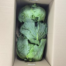 꿀비마켓 양배추 3통(약 8~10kg) 식자재