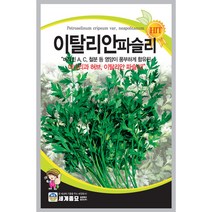 이탈리안 파슬리 씨앗 채소 상추 야채 종자 씨 200알