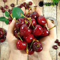 프리미엄 칠레산 고당도 생체리 5kg 큰사이즈(9.5row), 단품