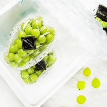 블랙라벨 샤인머스켓 1kg 아이스박스, 없음