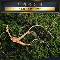 사랑품산삼 산양삼 12년근 15년근 장뇌삼 산양산삼 천종 자연산산삼, (S급) 15년근 5뿌리