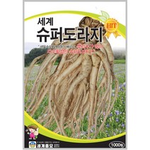 솔림텃밭몰 슈퍼도라지씨앗 1000립 도라지씨앗 약초 민속채소