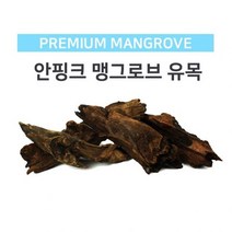 모비딕 맹그로브유목 소