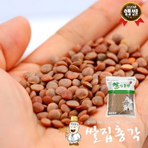 [쌀집총각] 2021년 캐나다산 렌틸콩 5kg, 상세 설명 참조