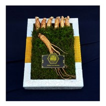 한국인삼유통공사 금산인삼 장인어른생신선물 튀김 6년근수삼 효능 담금주만들기 7뿌리