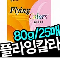삼원 플라잉칼라Parrot A4 80g 25매 칼라복사용지, P22.빨강색