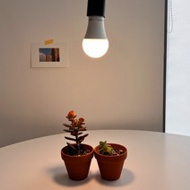 히포팜텍 LED 생장램프 식물 램프 전구 식물등 12W E26