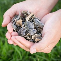 국산 자연산 운지버섯 200g