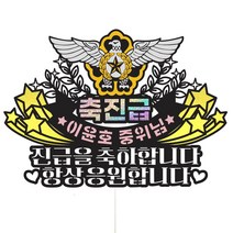 비비드레인 공군 진급 케이크토퍼, 170-공군