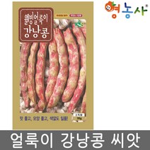 얼룩이 강낭콩씨앗 30g, 얼룩이강낭콩, 얼룩이강낭콩