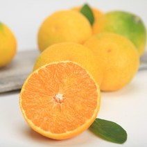 제주 과일 감귤 황금향 프리미엄과 로얄과 3kg 5kg(선물용), 5kg