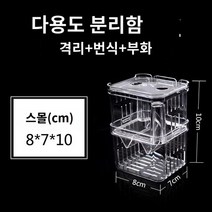 엔젤 알비노풀레드 구피 피쉬 어항 투명 물고기 부화 상자 격리 수조, 인큐베이션 박스 스몰